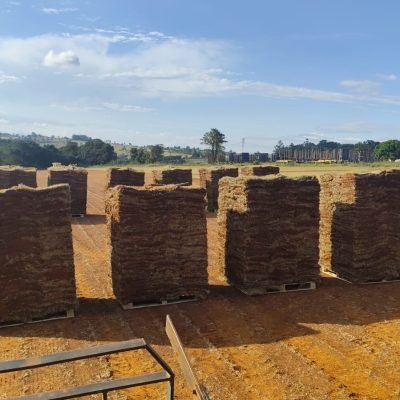 comprar grama esmeralda