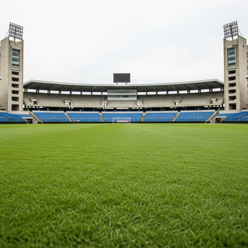 grama para campo de futebol