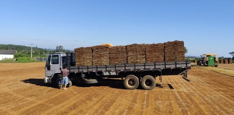 valor preço de grama esmeralda